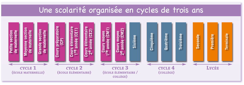 Fonctionnement de l école cycles de la scolarité PEEP Fédération